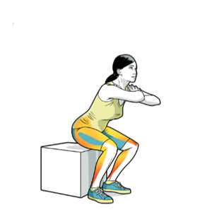 calisthenics, bodybuilding, fitness, gymnastics, weight lifting, fitness books, exercise