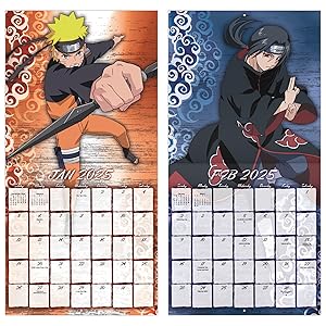 calendar 2024-2025 wall calendars planners gifts for men women home room decor gift