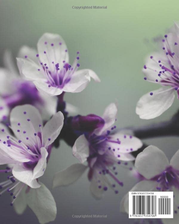 Financial & Budget Planner: Weekly and Monthly Organizer: Large Print (Budgeting Record Books, Inc.) - Image 2