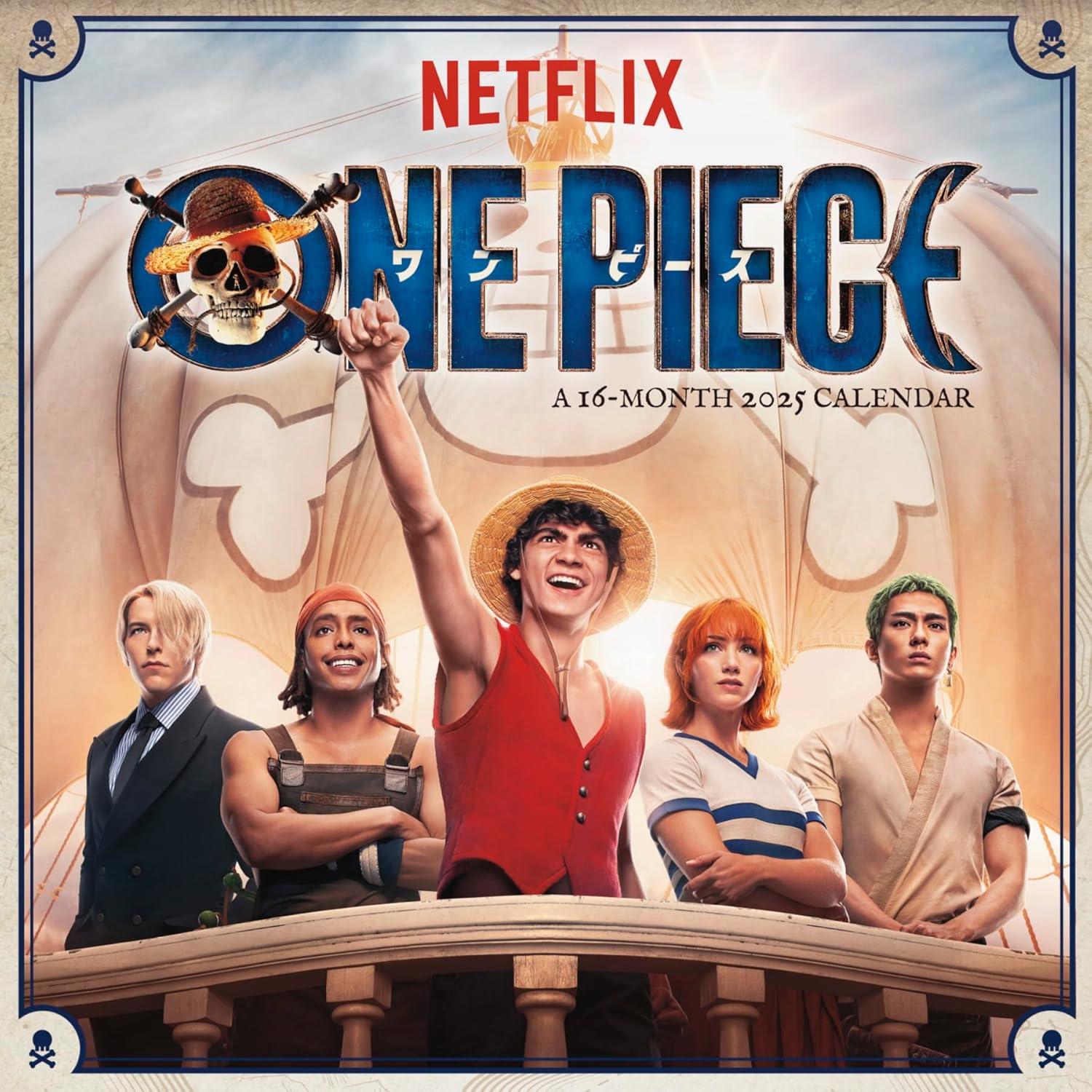 2025 One Piece Wall Calendar