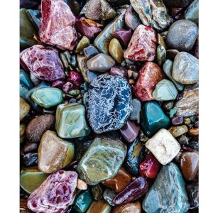 Sierra Club Engagement Calendar 2026