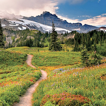 Photo of a trail leading through a meadow to a mountain