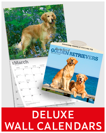 2026 Deluxe Wall Calendars