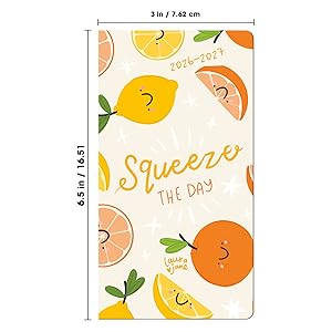 pocket planner 2025-2026 monthly calendars weekly planners organizers gifts for men women