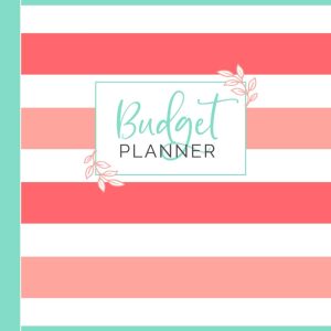 Budget Planner: Weekly and Monthly Financial Organizer | Savings - Bills - Debt Tracker | Teal Pink White Stripes (January-December 2020)