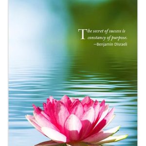 Inspiration | 2026-2027 3.5 x 6.5 Inch Two Year Monthly Pocket Planner Calendar | BrownTrout | Motivation Quotes Personal Agenda