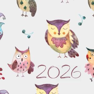 2026 Owl Diary: CUTE GIFT FOR OWL LOVERS to keep track of dates, daily habits, monthly expenses and TO DO list
