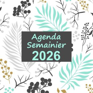 Agenda semainier 2026: Une semaine sur deux pages | 12 mois de Janvier à Décembre | format a5 (French Edition)