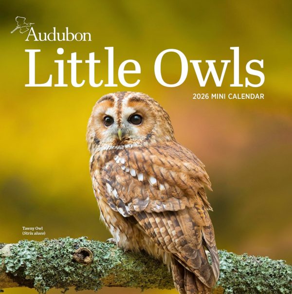 audubon-little-owls-mini-wall-calendar-2026