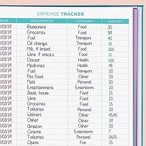 Expense Tracker page
