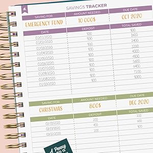 Savings Tracker page