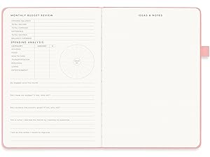 monthly budget review