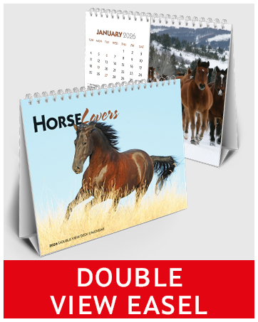 2026 Double View Easel