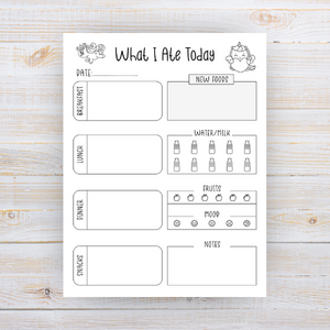 what i ate today food journal