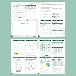 quick star guide for beginner