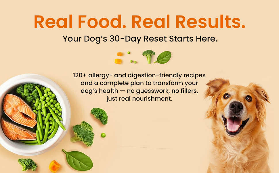 Happy golden dog beside a bowl of salmon and green vegetables, 30-day reset to homemade dog food