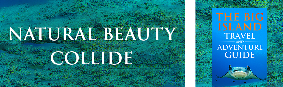 Natural Beauty Collide