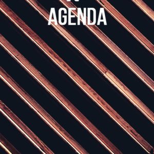 Three Year Agenda with Ethiopian Holidays and Wooden Lines Cover: 3 Year Long Monthly Ethiopian Planner Academic Schedule Organizer Log Book monthly Calendar Appointment