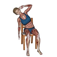 chair workout exercises for seniors