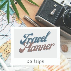 Generic Comprehensive Travel Planner Organizer Notebook: Space to Plan 20 Trips, 8.5x11 inches