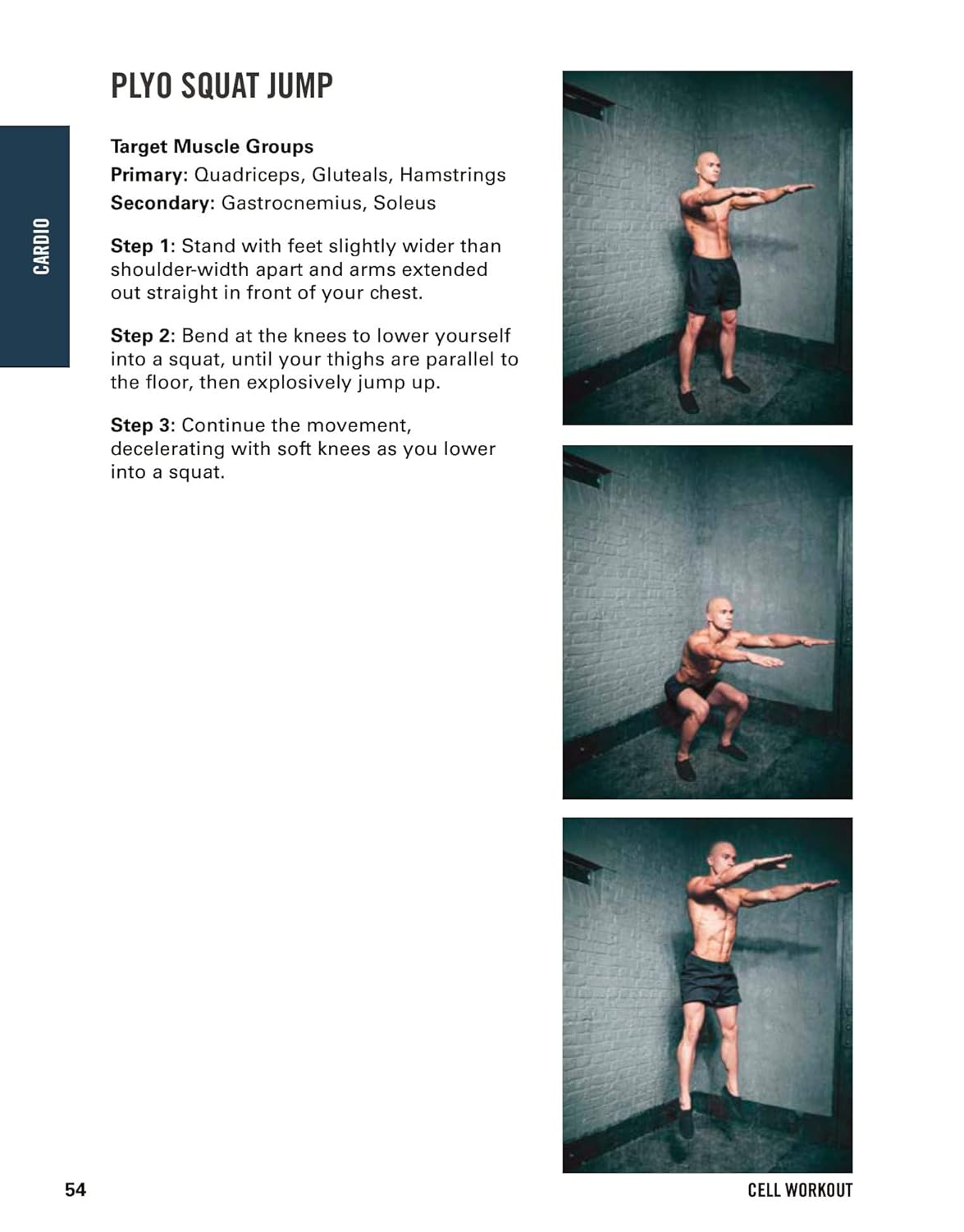 Cell Workout - Image 4