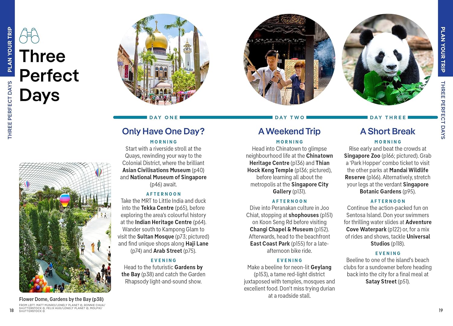 Lonely Planet Pocket Singapore: Discover Twice the City in Half the Time | Top Sights | Maps & Walking Tours | Covers Gardens by the Bay, Buddha Tooth ... Temple, Tekka Centre and more (Pocket Guide) - Image 6