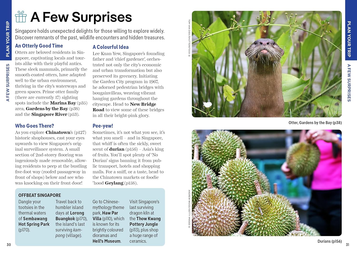 Lonely Planet Pocket Singapore: Discover Twice the City in Half the Time | Top Sights | Maps & Walking Tours | Covers Gardens by the Bay, Buddha Tooth ... Temple, Tekka Centre and more (Pocket Guide) - Image 9