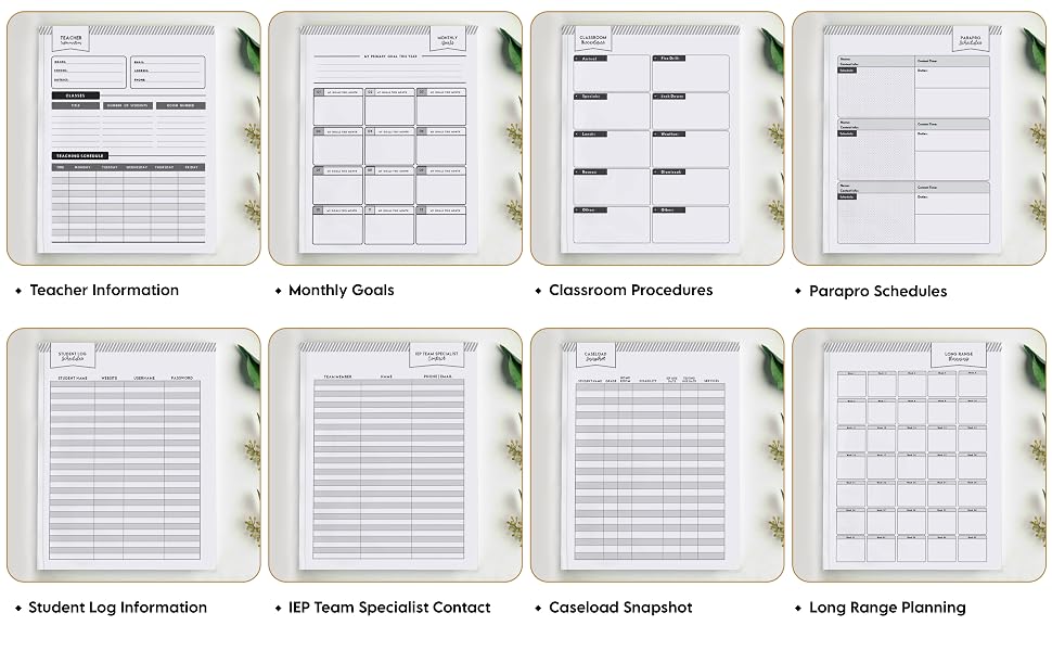 sped info with monthly goals and caseload snapshot
