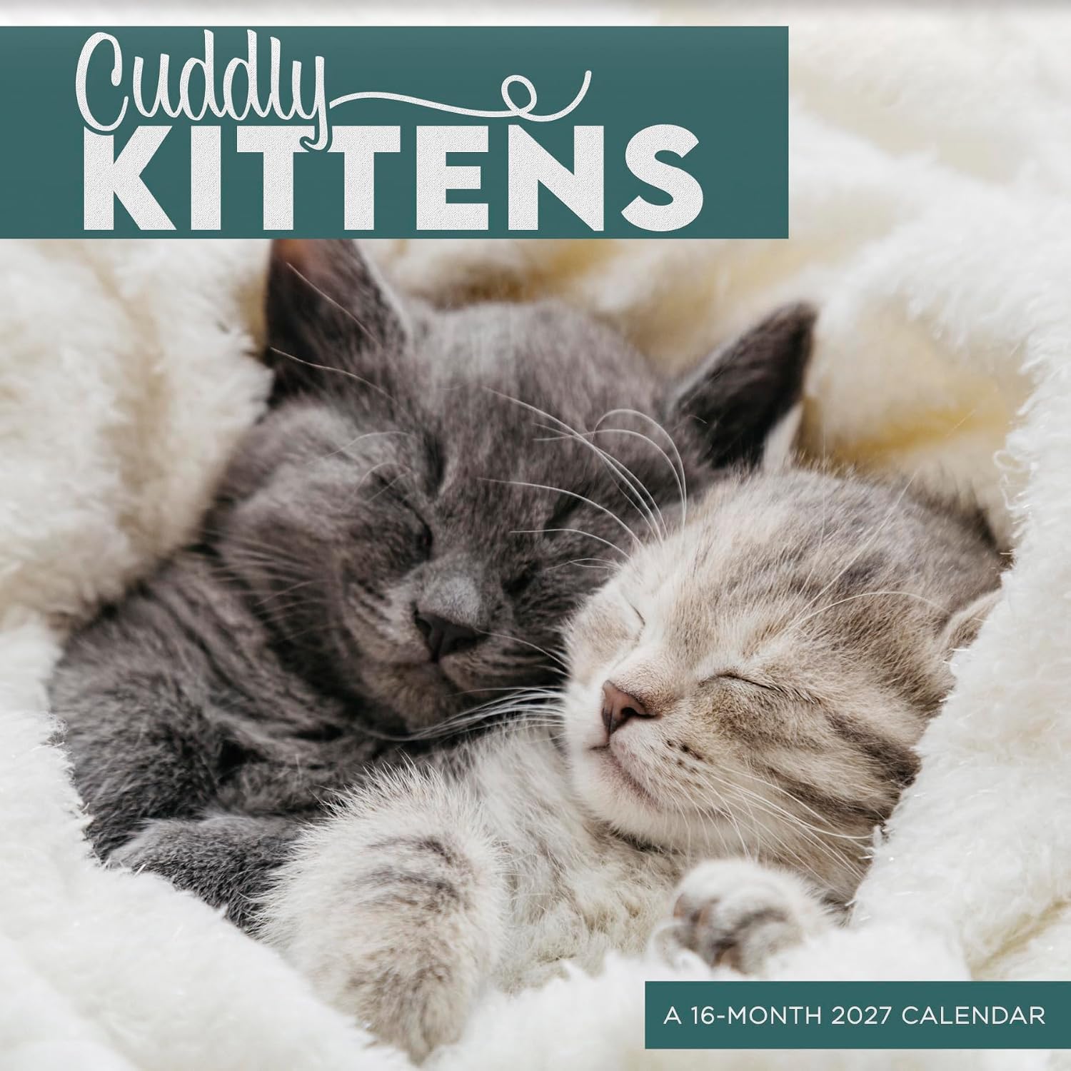 2027 Cuddly Kittens Mini Calendar