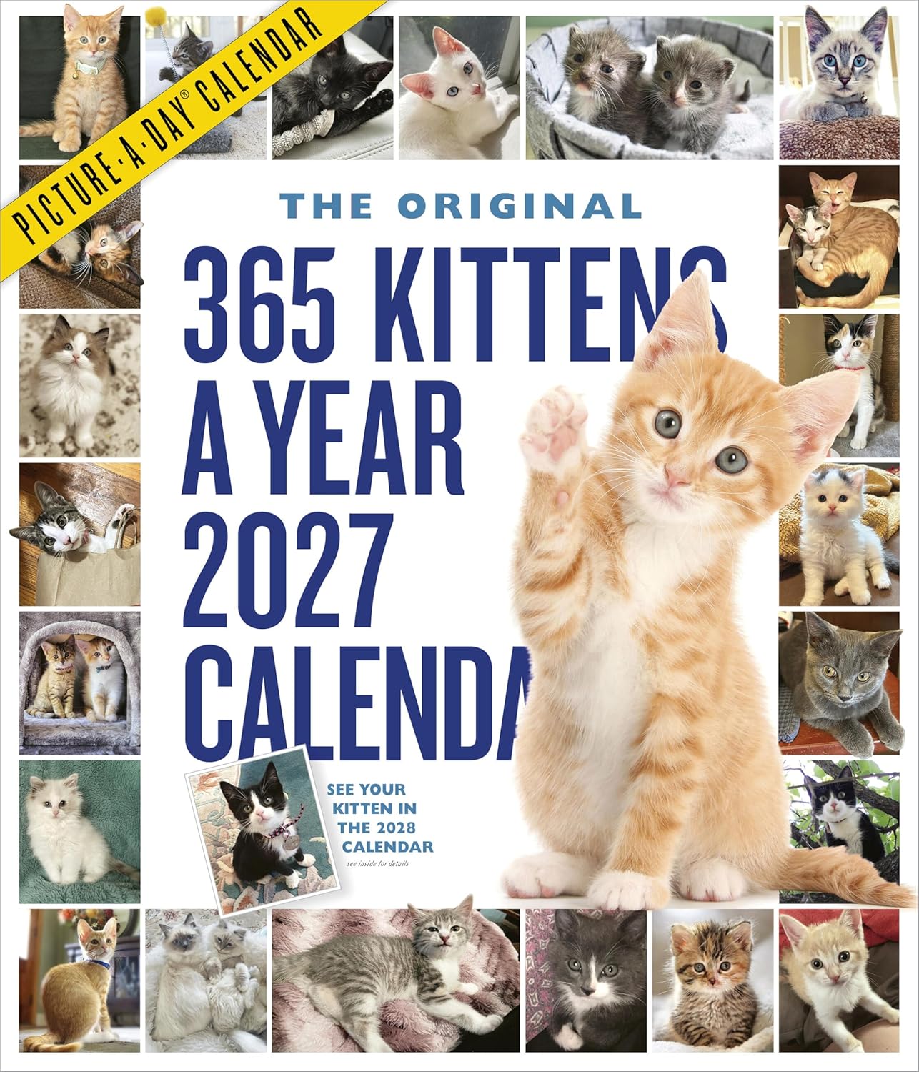 365 Kittens-A-Year Picture-A-Day® Wall Calendar 2027: The World’s Favorite Kitten Calendar