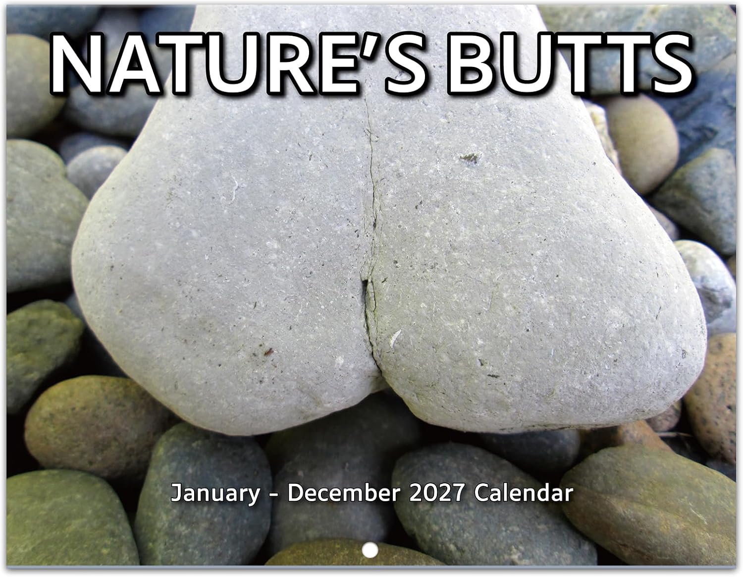 2027 Wall Calendar – Gag Gifts, Funny Calendar 2027, Jan. 2027 – Dec. 2027, Funny Nature Calendar,11″ x 17″ (Open), Perfect 2027 Wall Calendar for White Elephant Gifts