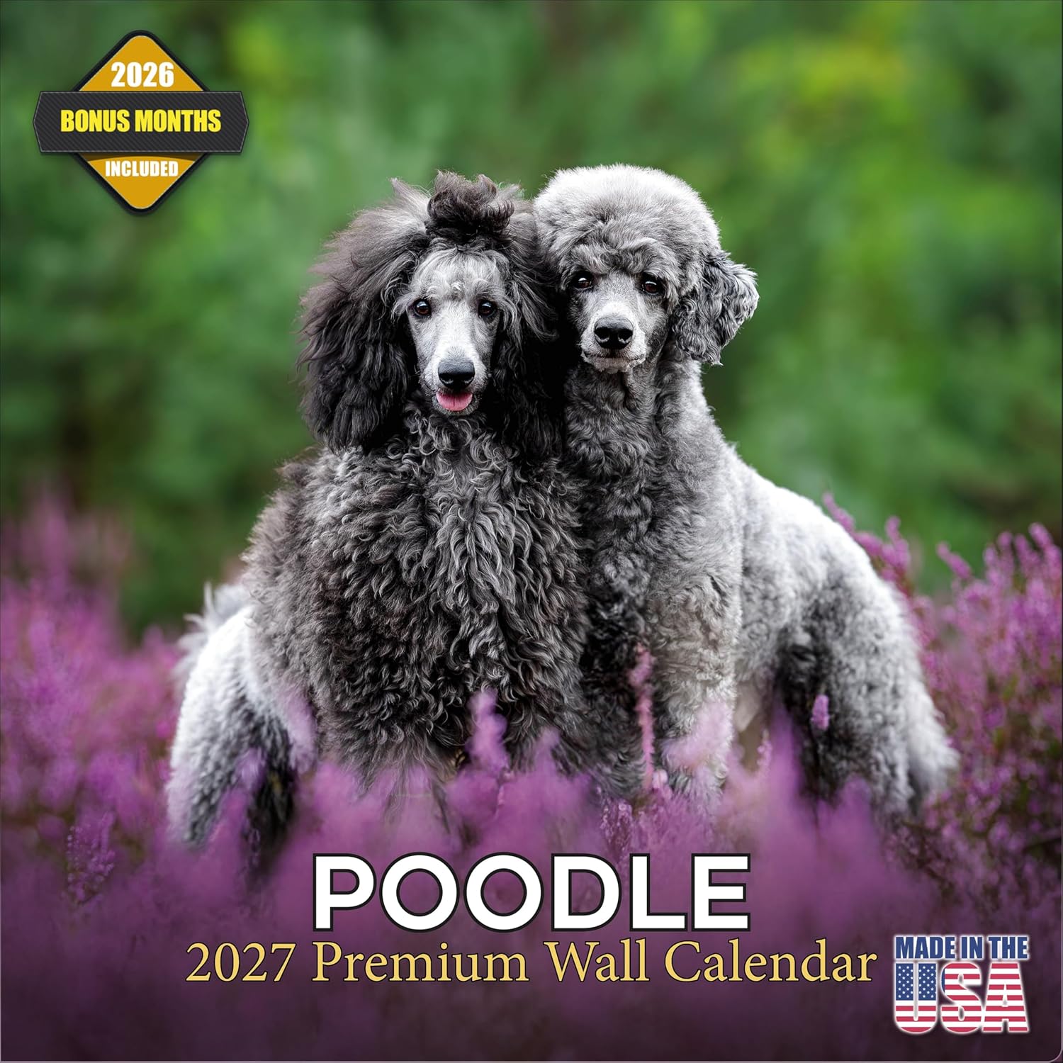 Poodle Calendar 2027-16-Month 12×12 Wall Calendar