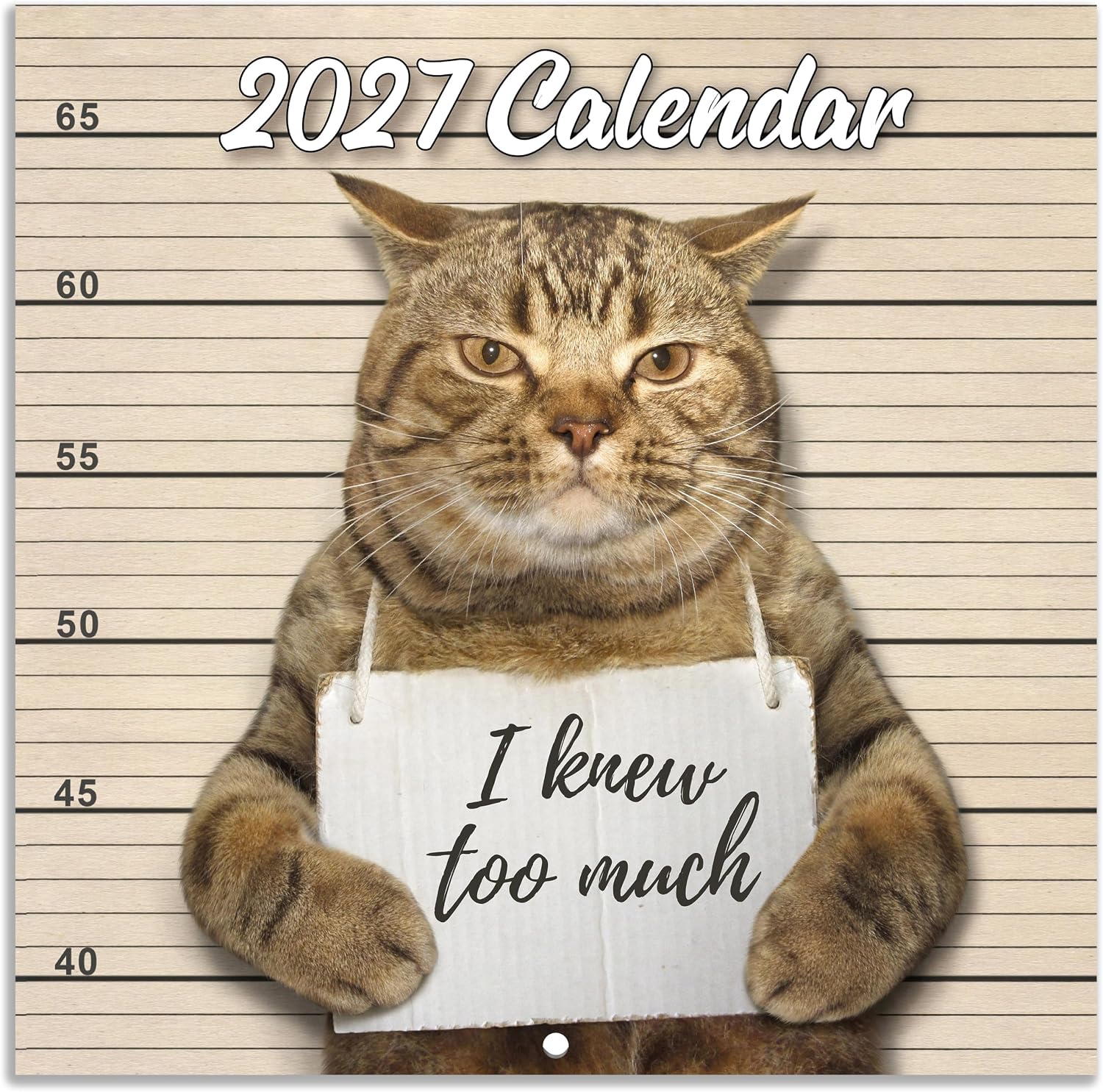 2027 Wall Calendar – January 2027 – December 2027, Funny Cat Calendar 2027, 12 Months Calendar, Funny Cat Memes Pics, 12″ x 24″ Opened