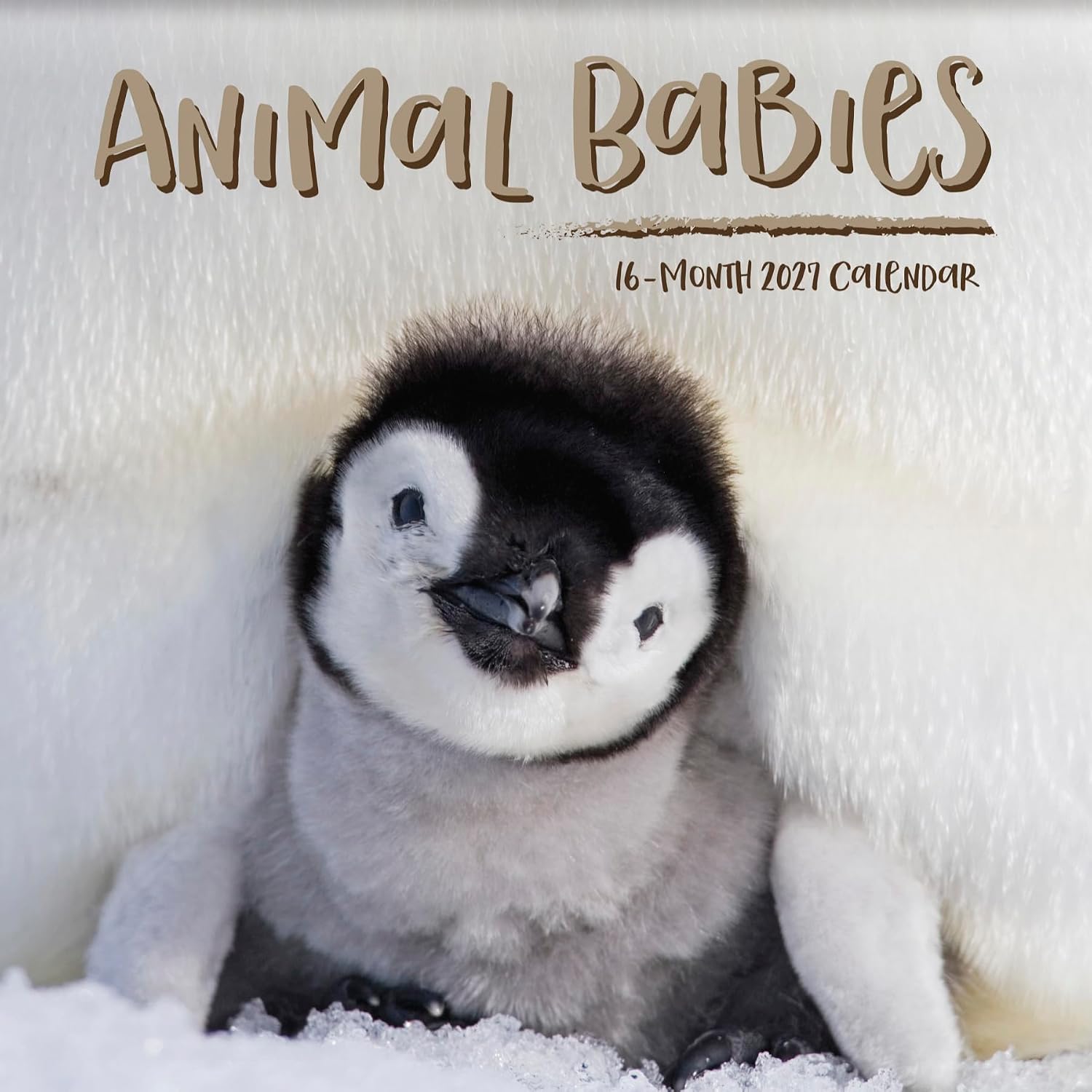 2027 Animal Babies Wall Calendar